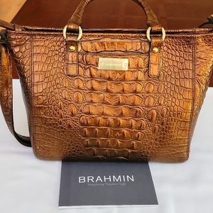 Bramin bag in pristine condition